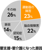 rokomo-graph-1