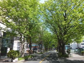 シンボルロード