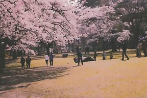黒磯公園