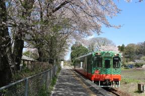 市貝温泉から自然豊かな伊許山園地周辺を歩こう！