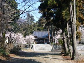 千代ヶ岡八幡宮周辺　春を満喫コース