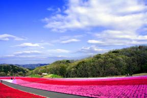 芝ざくら公園と芳那の水晶湖　自然探索コース