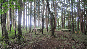 小倉山御嶽里山楽園コース