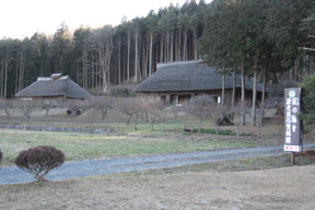 古代文化の里とカタクリ山公園を歩く