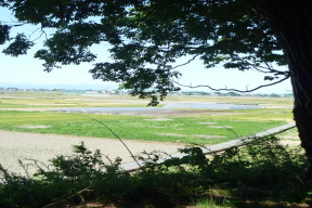 矢場川地区健康の日ウォーキングコース