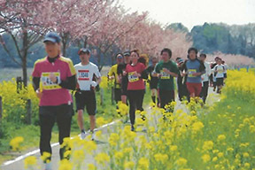 みんなで歩け歩け運動小山・間々田コース