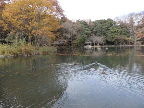 西那須野駅からウォーキング～乃木公園～