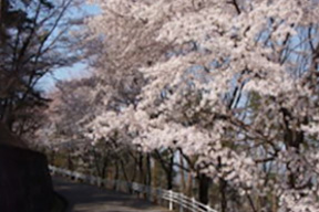 山前公民館地区山前公園コース