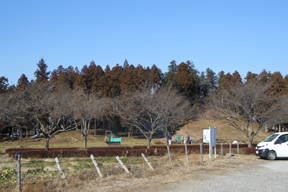 下野・小山古代ロマンを巡る道