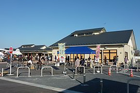 桜堤散策＆道の駅お買い物コース