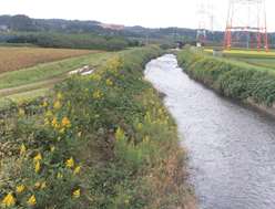 片岡地区コース