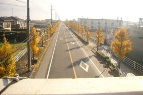 福富歩道橋