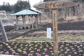 谷中「花を愛する会」四阿公園