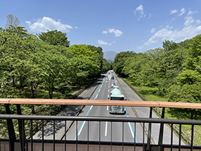 見晴橋