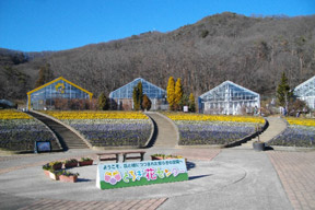 とちぎ花センター