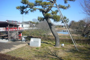 なまいふるさと公園