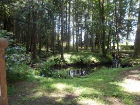 姥が池ロマン公園