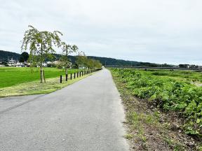 荒川堤防沿い