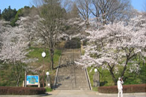 嘉多山公園