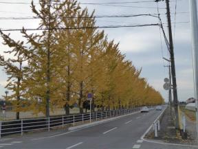 栃木市総合運動公園