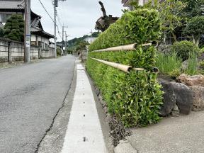 寒竹囲いの家並み
