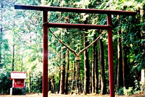 淡島神社