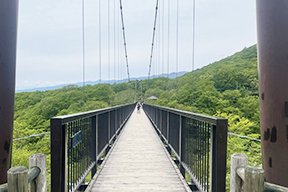 つつじ吊橋
