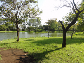 赤塚ふれあい公園