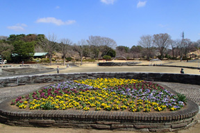 那須野が原公園正面駐車場及び入口付近