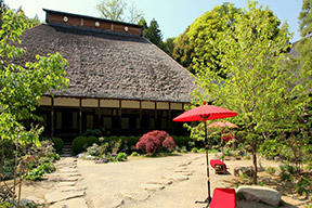 大雄寺