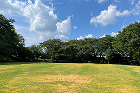 城址公園