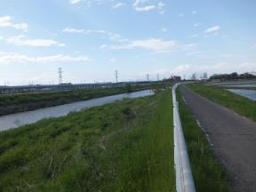 田川サイクリングロード（左岸）