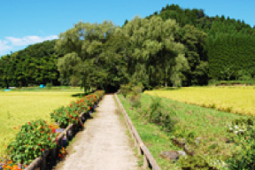 芦野遊行庵