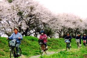 姿川サイクリングロード