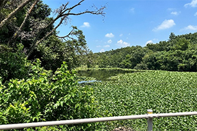 多田羅沼