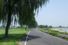 谷中湖北ブロック（県道佐野・古河線側）