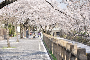 行屋川水辺公園