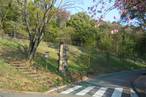 富士山公園