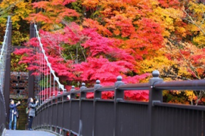 紅の吊橋