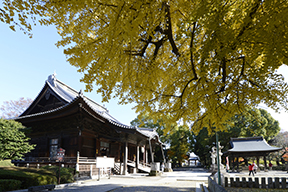 鑁阿寺