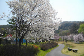 みかも万葉庭園