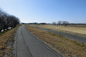 鬼怒川河川敷緑地公園