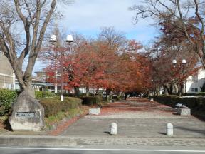 大山公園