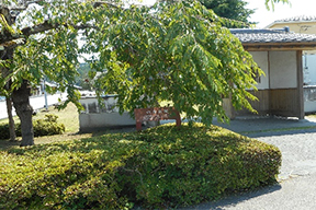 六斎公園